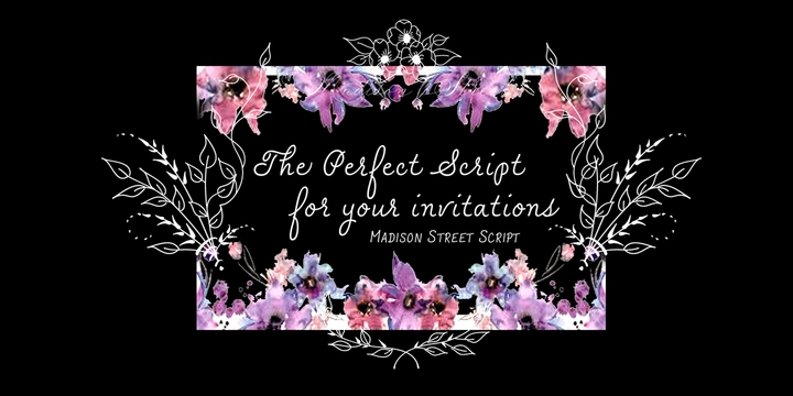 Madison Street Swash Font preview
